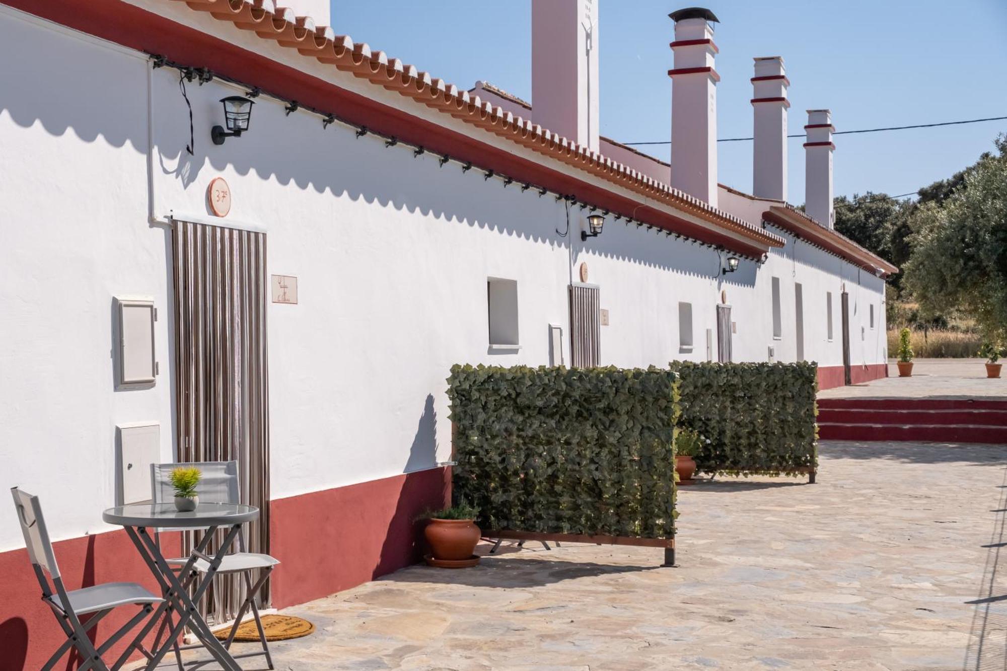 Casa Da Ritinha - Praia Azenhas D El Rey Montes Juntos Ngoại thất bức ảnh